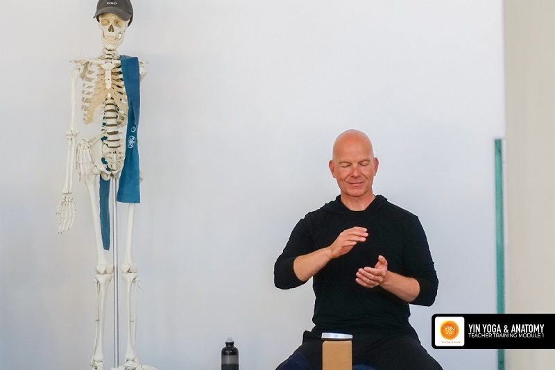 200 Hour Yin Yoga & Anatomy Teacher Training Course 23 200h Yin and anatomy
