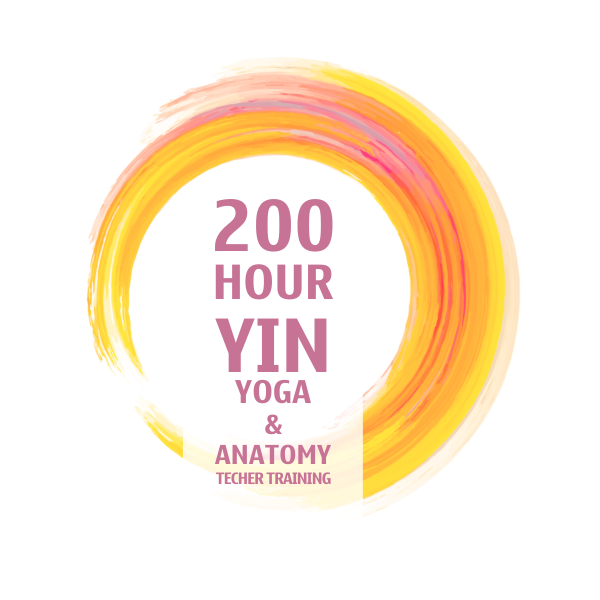 200 Hour Yin Yoga & Anatomy Teacher Training Course 23 200h anatomy