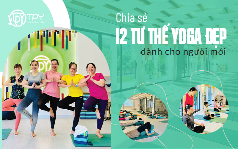 Chia sẻ 12 tư thế yoga đẹp dành cho người mới