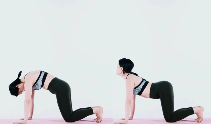 tư thế con mèo con bò