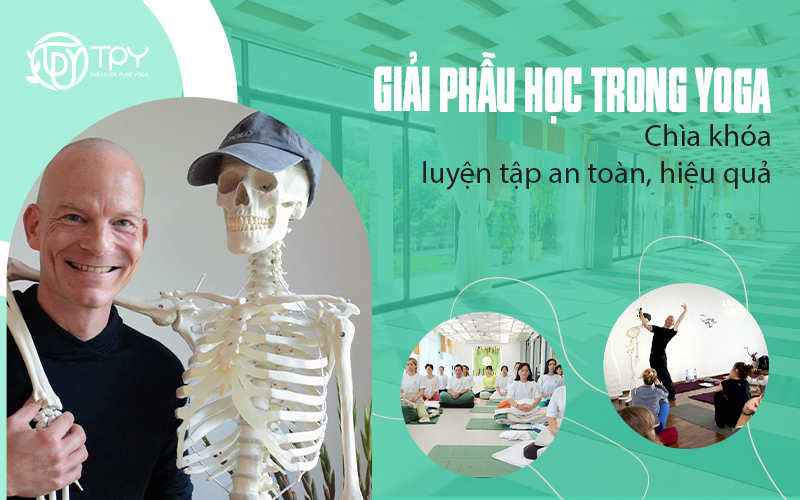 Giải phẫu học trong Yoga: Chìa khóa luyện tập an toàn, hiệu quả