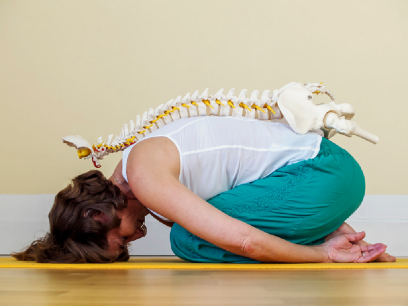 Giải phẫu học trong Yoga: Chìa khóa luyện tập an toàn, hiệu quả 2 Giải phẫu học trong yoga là gì?