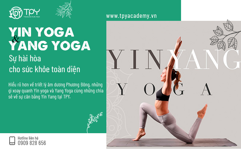 Yin Yoga và Yang Yoga: Sự hài hòa cho sức khỏe toàn diện