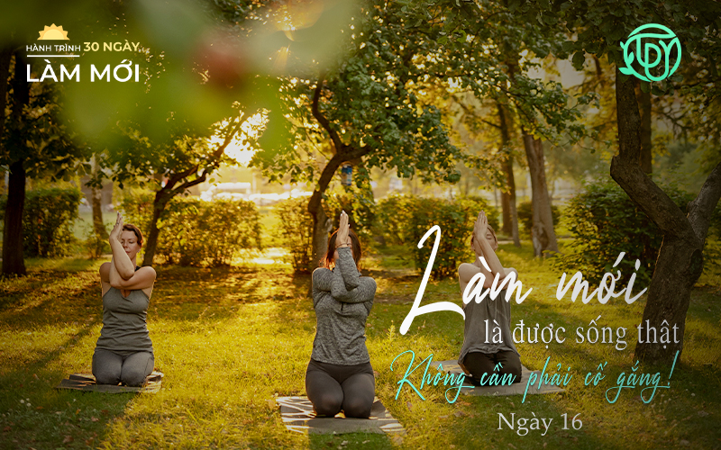 Hành trình làm mới ngày 16: Hãy chọn cách sống cho bản thân