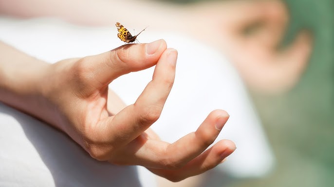 Hành trình làm mới ngày 20: Định nghĩa lại sức khỏe 5 Hành trình làm mới từ sự kết nối bên trong