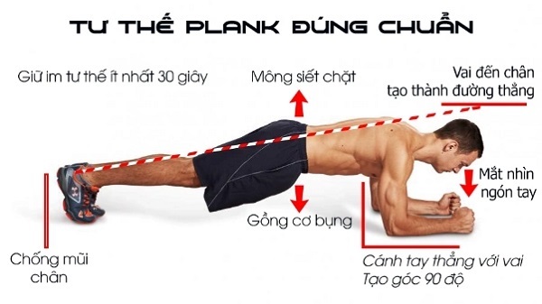 Tư thế Plank – Những biến thể và hiệu quả khi luyện tập 4 Hướng dẫn thực hiện tư thế plank đúng