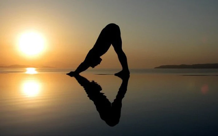 Chuỗi Chào mặt trời (Surya Namaskar): Thức tỉnh thân – tâm mỗi sớm mai 16 12 tư thế trong chuỗi Chào mặt trời