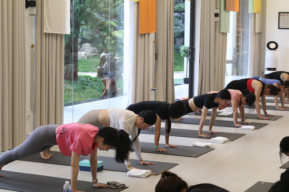 Tư thế Chó úp mặt (Downward Facing Dog): Nền tảng vững chắc trong chuỗi Chào mặt trời 22 Chuỗi Chào mặt trời