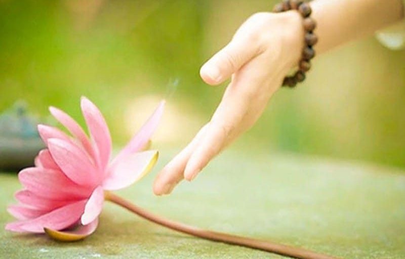 Hành trình làm mới ngày 22: Buông bỏ để tâm hồn tự do và hạnh phúc 4 Buông để nhẹ, nhẹ để sống sâu