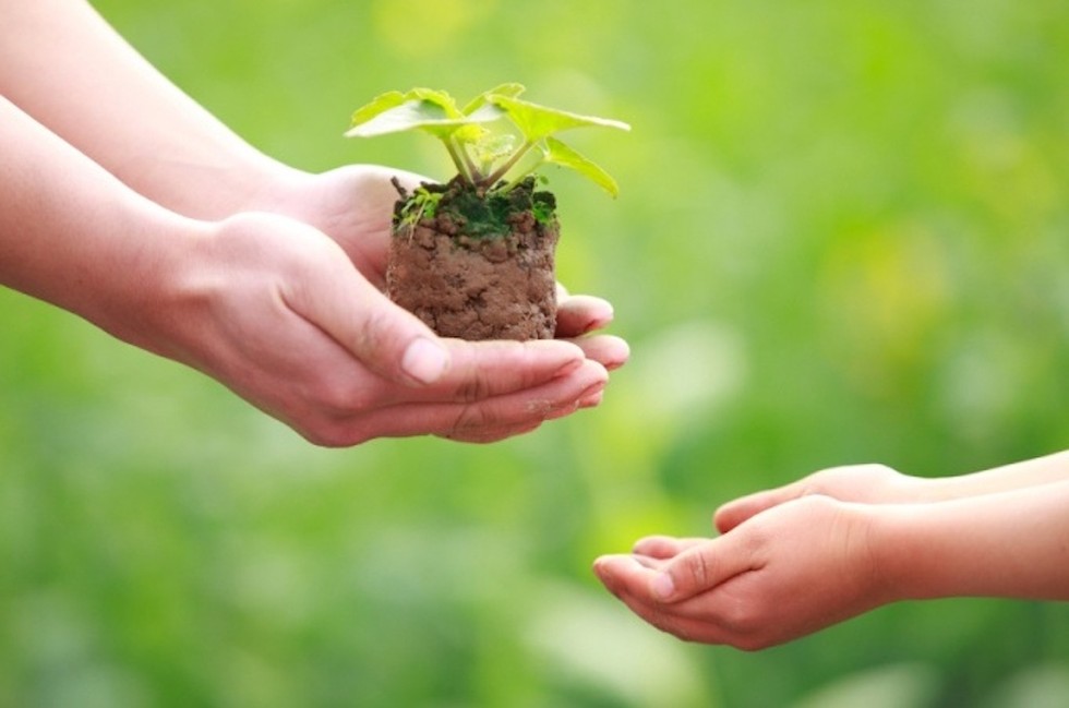 Hành trình làm mới ngày 30: Bình yên sẽ đến khi bên trong đủ đầy 12 Đủ đầy – không đến từ bên ngoài
