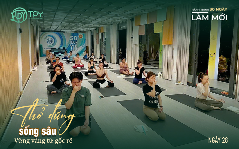 Hành trình làm mới ngày 28: Thở đúng, sống sâu, vững vàng từ gốc rễ