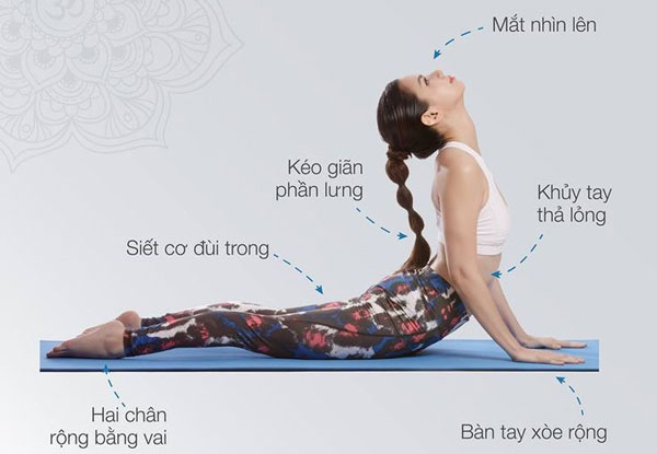 Tư thế Rắn hổ mang (Bhujangasana): Thức tỉnh cột sống – Khơi nguồn sinh lực 16 Hướng dẫn thực hiện Bhujangasana đúng cách