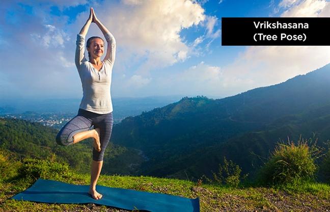 Tư thế Cây (Vrikshasana): Tĩnh lặng như gốc rễ – Vững vàng như thân cây 12 Hướng dẫn thực hiện tư thế Vrikshasana