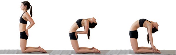 Tư thế Lạc đà (Ustrasana): Mở rộng trái tim từ sự uốn mình sâu sắc 26 Lạc đà với tay chống hông