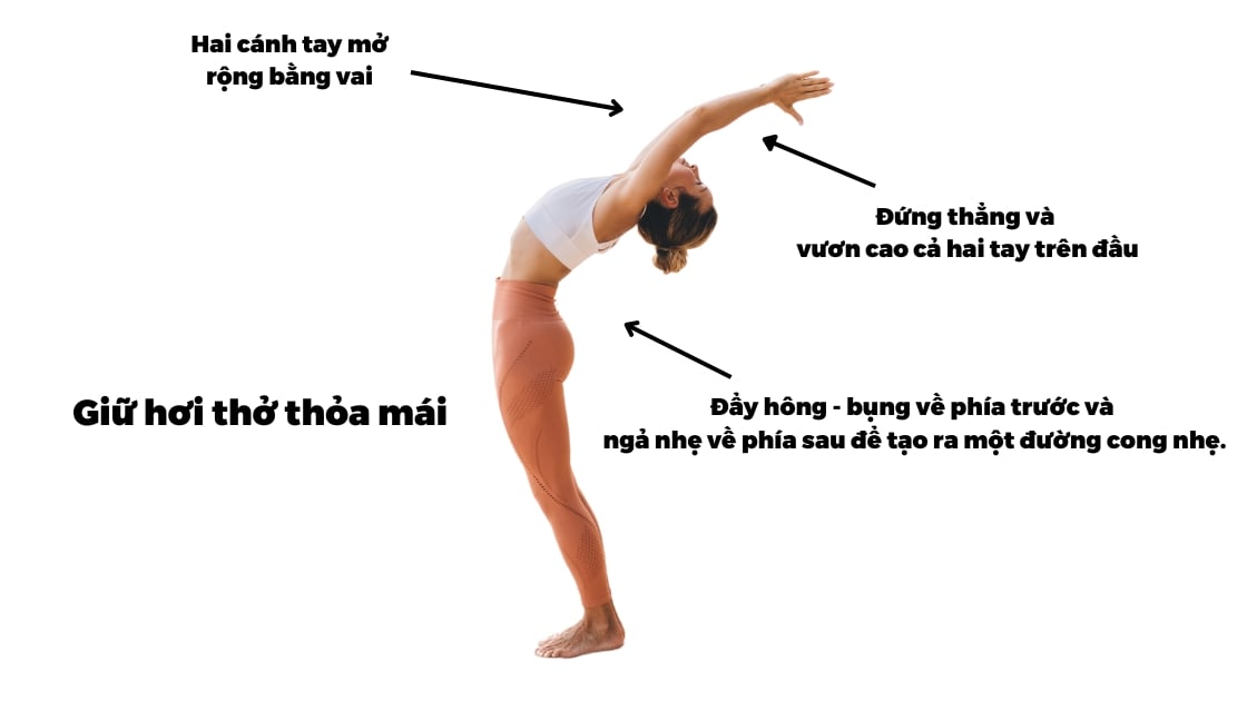 Lợi ích của tư thế Cây lau