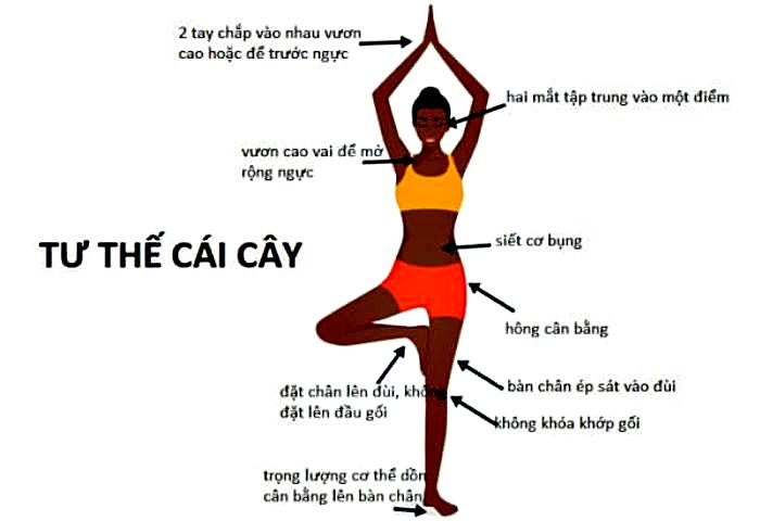 Tư thế Cây (Vrikshasana): Tĩnh lặng như gốc rễ – Vững vàng như thân cây 12 Lưu ý khi tập Vrikshasana
