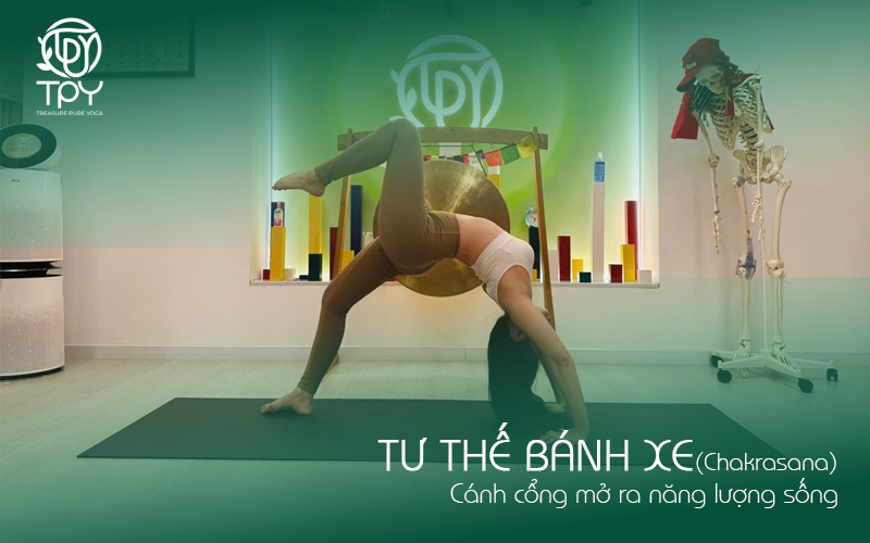 Học viện yoga quốc tế TPY 25 Tư thế Bánh xe (Chakrasana) Cánh cổng mở ra năng lượng sống