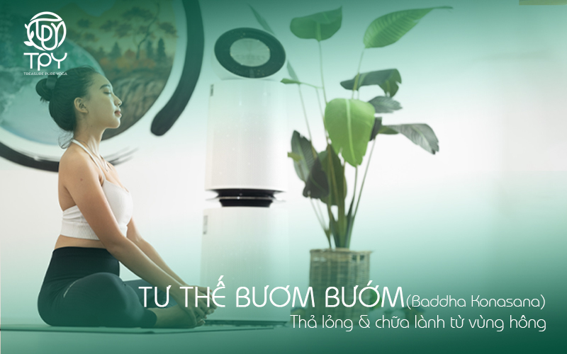 Tư thế Bươm bướm (Baddha Konasana): Thả lỏng & chữa lành từ vùng hông