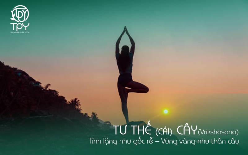 Tư thế Cây (Vrikshasana)