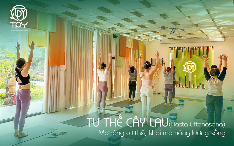Tư thế Cây lau (Hasta Uttanasana) Mở rộng cơ thể, khai mở năng lượng sống