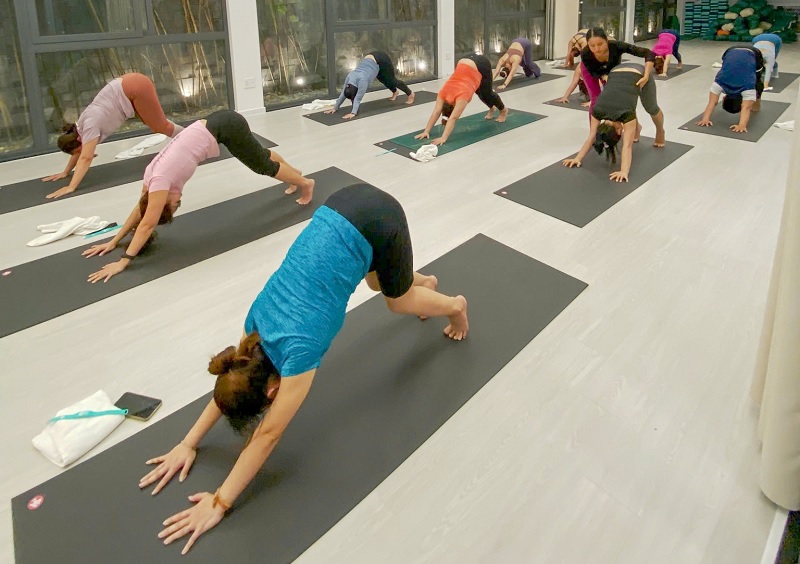 Tư thế Chó úp mặt (Downward Facing Dog): Nền tảng vững chắc trong chuỗi Chào mặt trời 22 Tư thế Chó úp mặt là gì