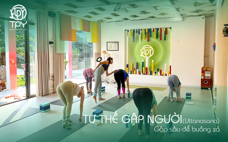 Tư thế Gập người (Uttanasana): Gập sâu để buông xả