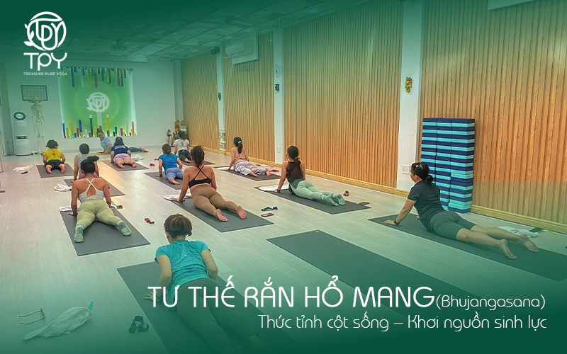 Tư thế Rắn hổ mang (Bhujangasana)