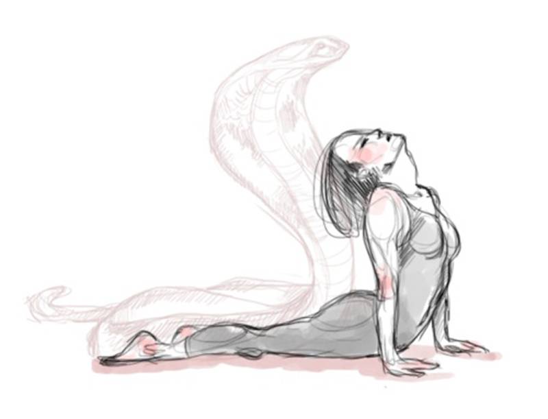 Tư thế Rắn hổ mang (Bhujangasana): Thức tỉnh cột sống – Khơi nguồn sinh lực 16 Tư thế Rắn hổ mang là gì?