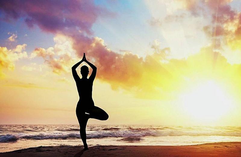 Tư thế Cây (Vrikshasana): Tĩnh lặng như gốc rễ – Vững vàng như thân cây 12 Ứng dụng Vrikshasana trong chuỗi luyện tập