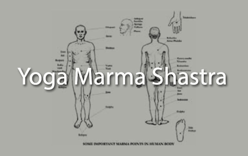 Ý nghĩa số 108 trong văn hóa tâm linh, Phật giáo và Yoga 25 108 điểm năng lượng (Marmas)