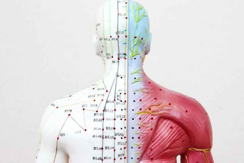 Ý nghĩa số 108 trong văn hóa tâm linh, Phật giáo và Yoga 25 108 kênh năng lượng (Nadis)
