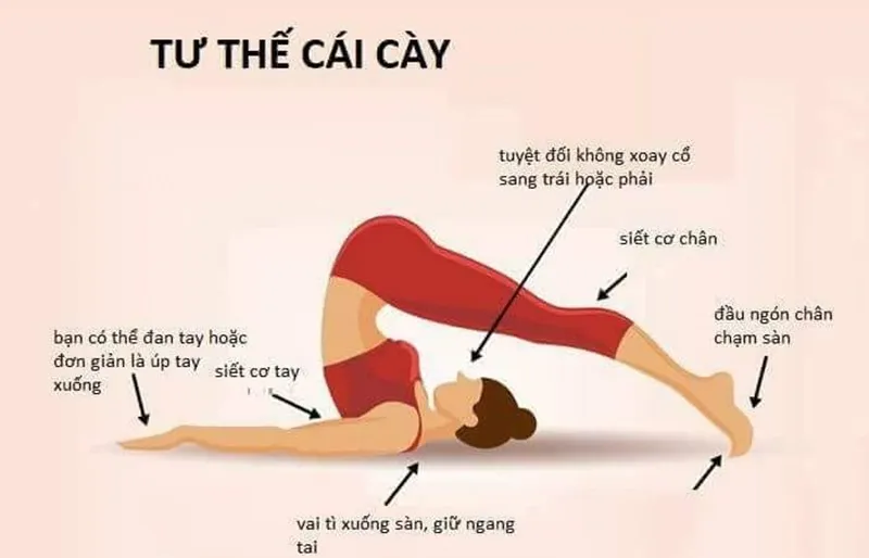 Tư thế Cái Cày (Halasana): Mở lưng, thư giãn thần kinh và thanh lọc cơ thể 24 Hướng dẫn thực hiện tư thế cái cày đúng kỹ thuật