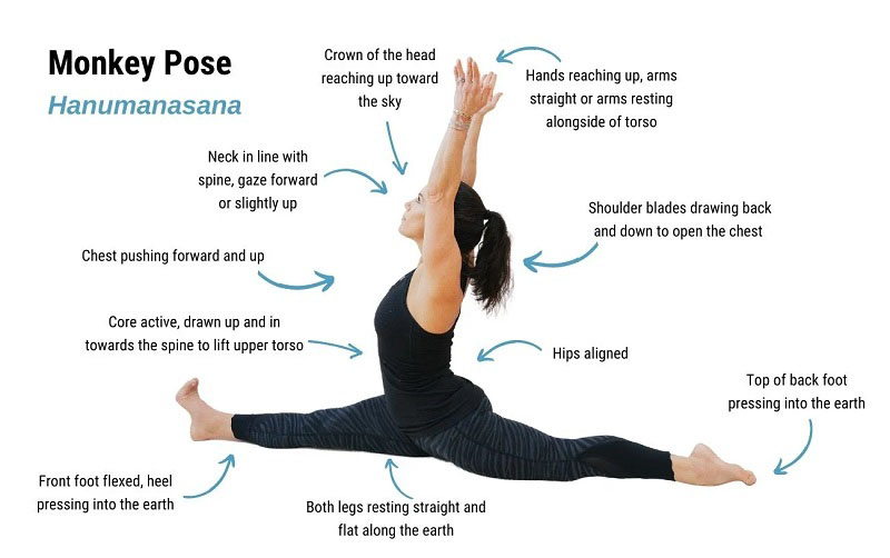 Tư thế con khỉ (Hanumanasana) – Bước nhảy vươn tới giới hạn bản thân 25 Cách thực hiện tư thế con khỉ