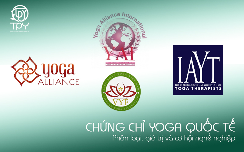 Chứng chỉ Yoga quốc tế: Phân loại, giá trị và cơ hội nghề nghiệp