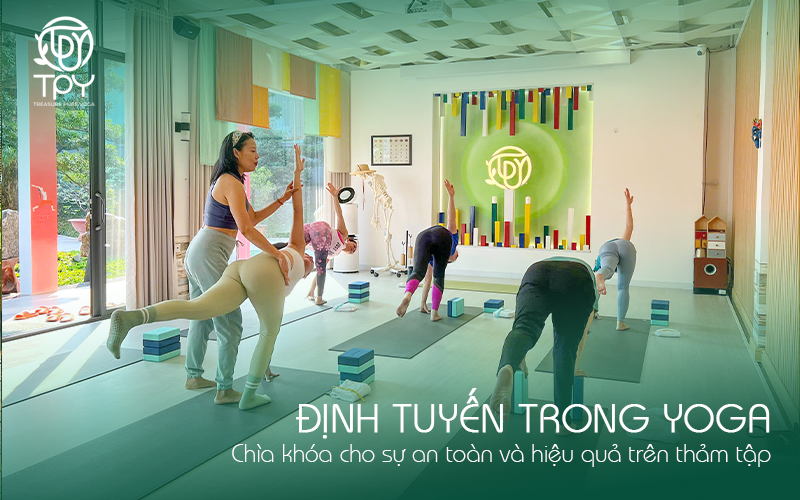 Học viện yoga quốc tế TPY 9 Định tuyến trong Yoga Chìa khóa cho sự an toàn và hiệu quả trên thảm tập