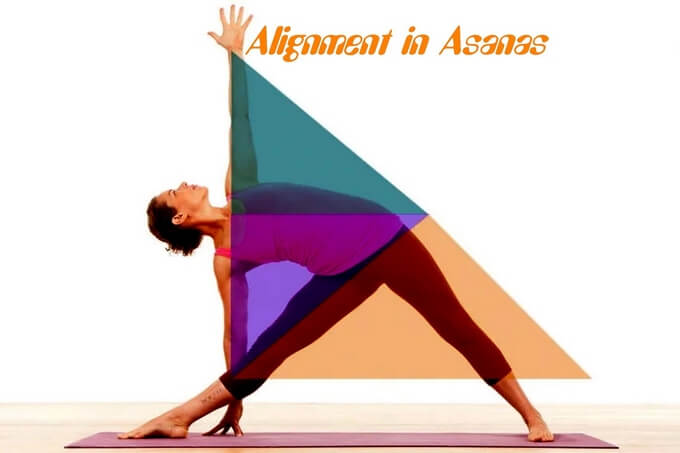 Định tuyến trong Yoga: Chìa khóa cho sự an toàn và hiệu quả trên thảm tập 9 Định tuyến trong yoga (Yoga Alignment)