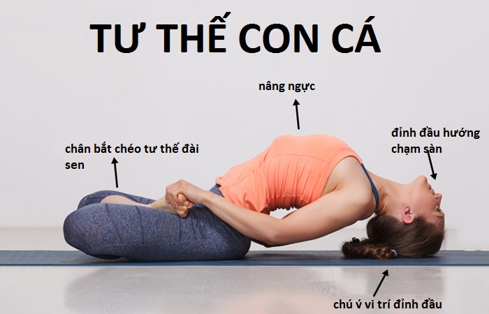 Tư thế con cá (Matsyasana): Mở rộng lồng ngực, khơi thông cảm xúc 24 Hướng dẫn cách thực hiện tư thế con cá đúng kỹ thuật
