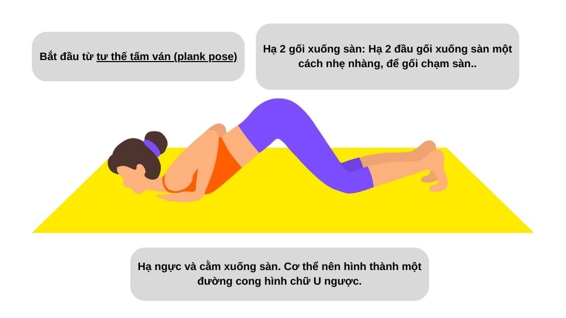 Tư thế 8 điểm chạm (Ashtanga Namaskara): Hành động khiêm nhường từ trái tim 5 Hướng dẫn thực hiện tư thế gối ngực cằm