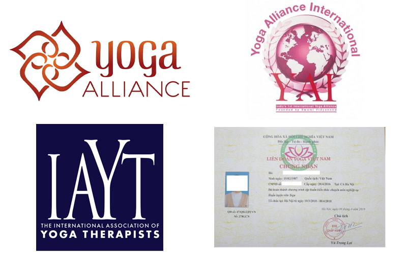 Chứng chỉ Yoga quốc tế: Phân loại, giá trị và cơ hội nghề nghiệp 23 Những chứng chỉ Yoga phổ biến