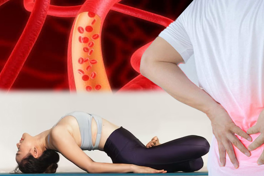 Tư thế con cá (Matsyasana): Mở rộng lồng ngực, khơi thông cảm xúc 24 Tăng cường lưu thông máu và chức năng tim mạch
