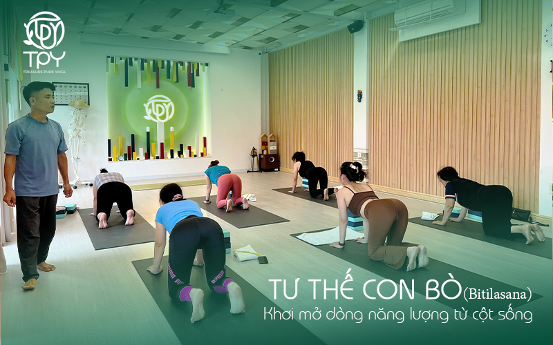 Tư thế Con bò (Bitilasana): Khơi mở dòng năng lượng từ cột sống