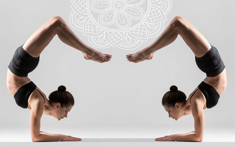 Tư thế Con bọ cạp (Vrschikasana) – Vũ điệu uyển chuyển của sức mạnh và sự linh hoạt 24 Tư thế Con bọ cạp