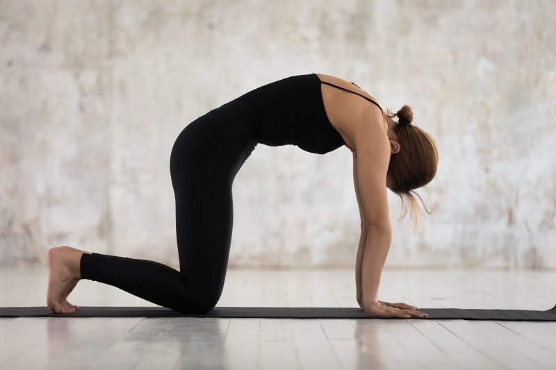 Tư thế Con mèo(Marjaryasana): Đánh thức chuyển động sống qua từng nhịp thở 5 Tư thế Con mèo là gì
