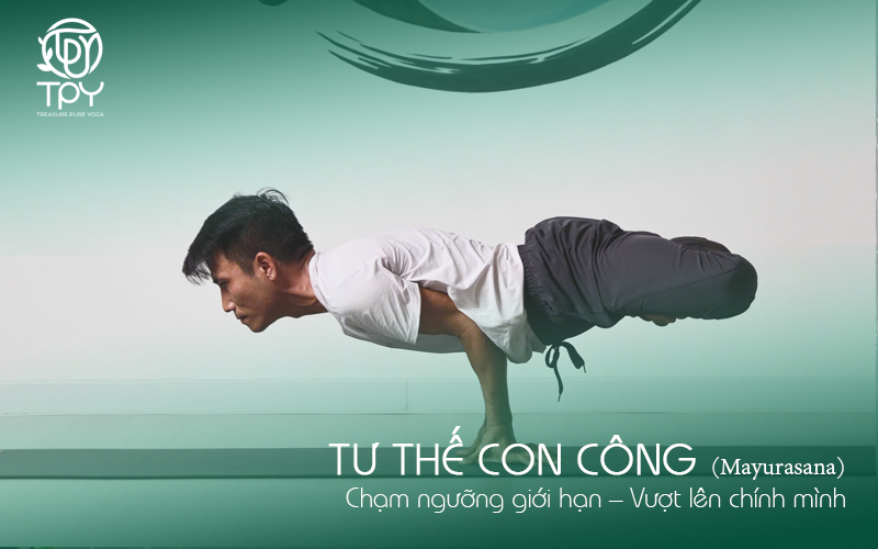 Tư thế con công (Mayurasana): Chạm ngưỡng giới hạn – Vượt lên chính mình