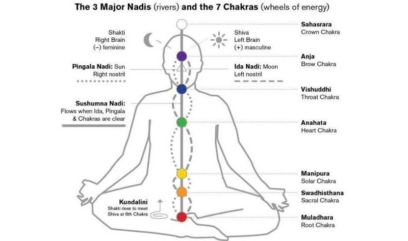 Khóa năng lượng (Bandha): Bí mật khai mở sức mạnh nội tại 25 Bandha trong các triết lý yoga