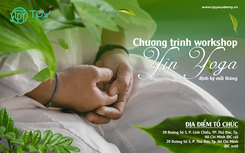 Học viện yoga quốc tế TPY 25 Chương trình workshop yin yoga định kỳ hàng tháng