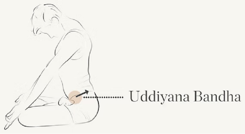 Khóa năng lượng (Bandha): Bí mật khai mở sức mạnh nội tại 25 Uddiyana Bandha (Khóa bụng)