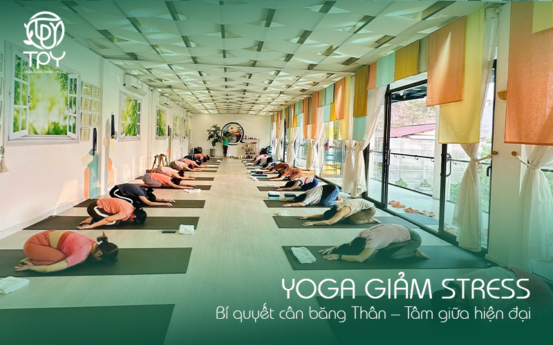 Yoga giảm stress