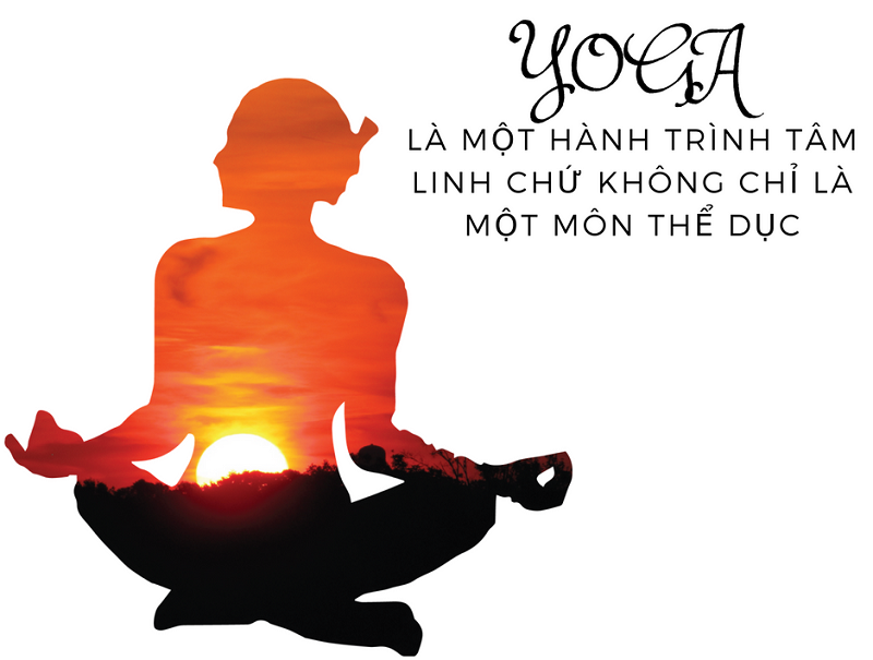 Triết lý Yoga – nền móng trong lộ trình đào tạo huấn luyện viên Yoga chuyên nghiệp