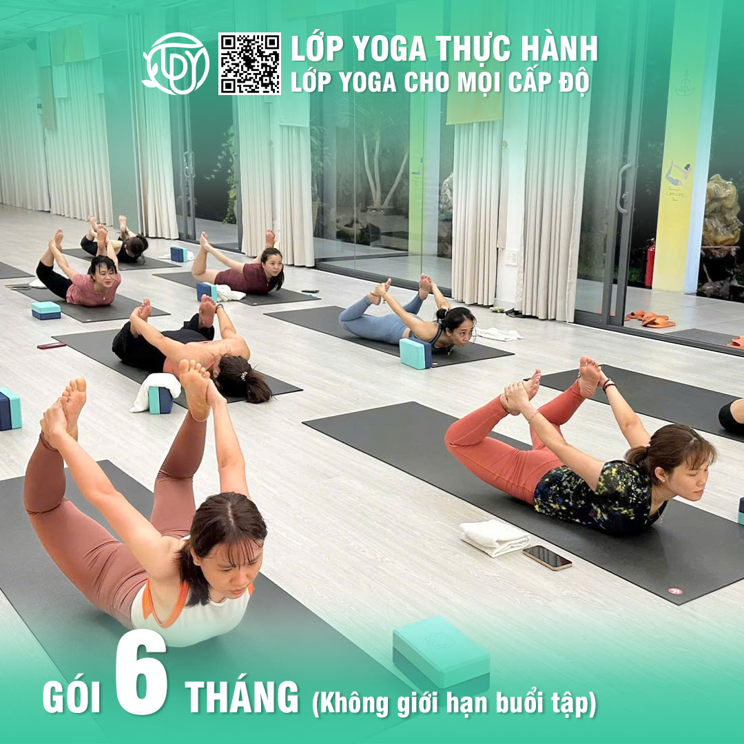 gói tập Yoga Thực hành 6 tháng